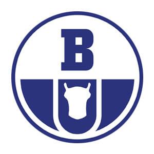 Сайдинг BORYSZEW
